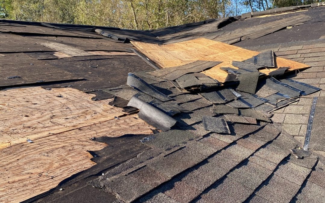 The Most Common Causes of Roof Damage in Waynesboro