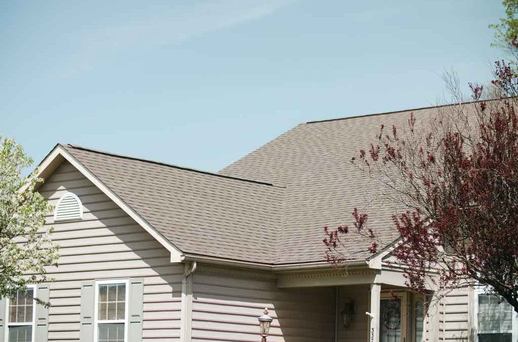 Help Your Roof Survive The Summer With These Easy Tips